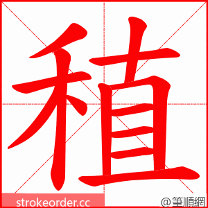 稙 的笔顺动画顺序