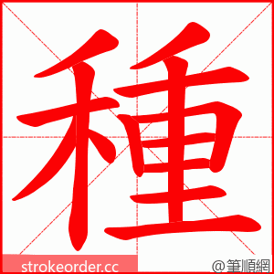 種 的笔顺动画顺序