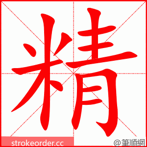 精 的笔顺动画顺序