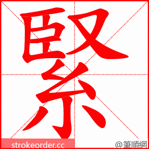 緊 的笔顺动画顺序