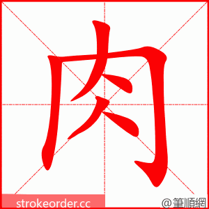 肉 的笔顺动画顺序