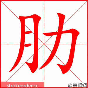 stroke order animation of 肋