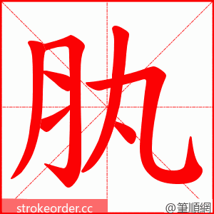肒 的笔顺动画顺序