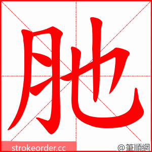 肔 的笔顺动画顺序