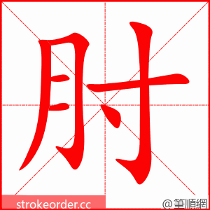 stroke order animation of 肘