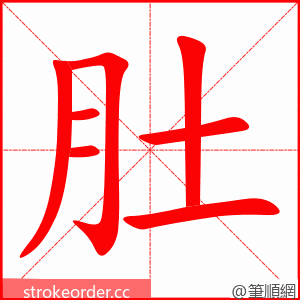 肚 的笔顺动画顺序