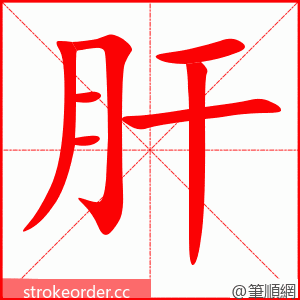 stroke order animation of 肝