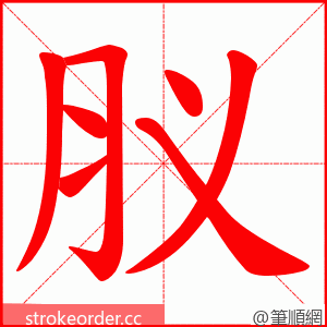 肞 的笔顺动画顺序