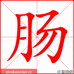 肠 的笔顺动画顺序