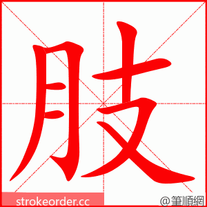stroke order animation of 肢