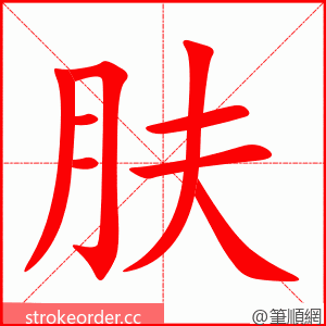 肤 的笔顺动画顺序