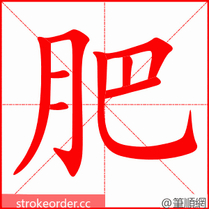 肥 的笔顺动画顺序