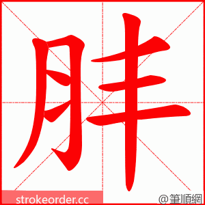 肨 的笔顺动画顺序