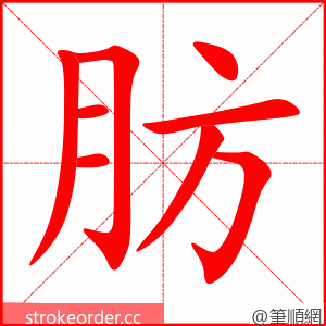 stroke order animation of 肪