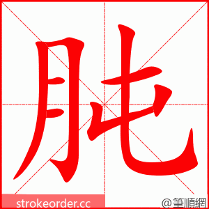 肫 的笔顺动画顺序