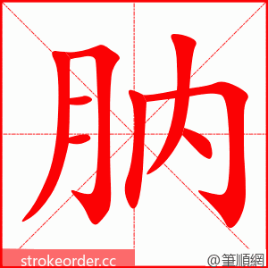 肭 的笔顺动画顺序