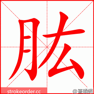 肱 的笔顺动画顺序
