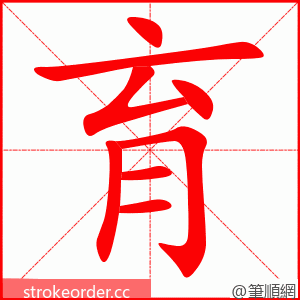 育 的笔顺动画顺序