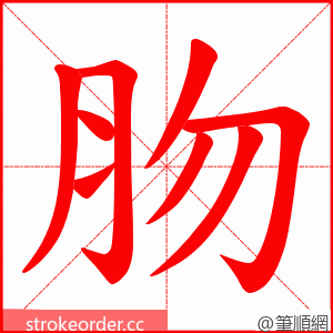 肳 的笔顺动画顺序