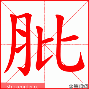 肶 的笔顺动画顺序