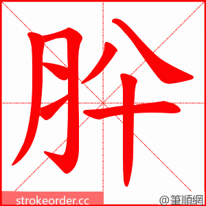 肸 的笔顺动画顺序