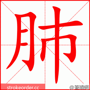 肺 的笔顺动画顺序