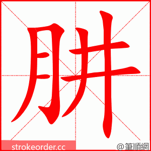 肼 的笔顺动画顺序