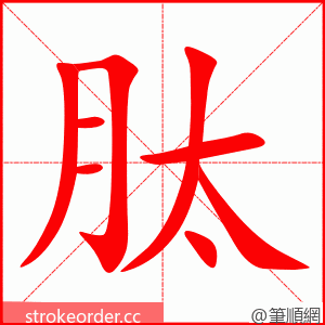 肽 的笔顺动画顺序