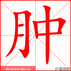 肿 的笔顺动画顺序