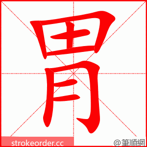 胃 的笔顺动画顺序