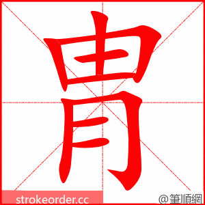 胄 的笔顺动画顺序