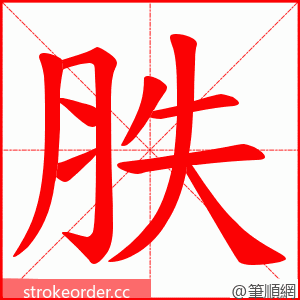 胅 的笔顺动画顺序