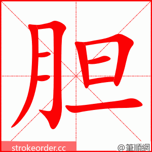 胆 的笔顺动画顺序