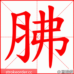 胇 的笔顺动画顺序