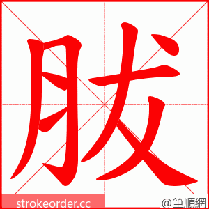 胈 的笔顺动画顺序