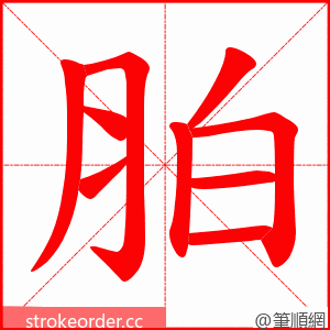 胉 的笔顺动画顺序