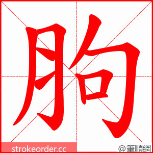 胊 的笔顺动画顺序