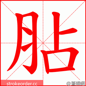 胋 的笔顺动画顺序