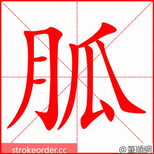 胍 的笔顺动画顺序