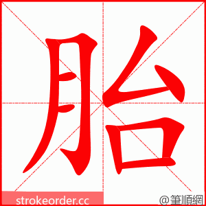 胎 的笔顺动画顺序