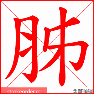 胏 的笔顺动画顺序