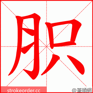 胑 的笔顺动画顺序