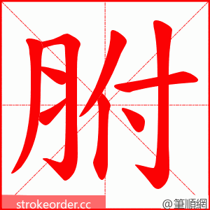 胕 的笔顺动画顺序