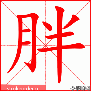 胖 的笔顺动画顺序