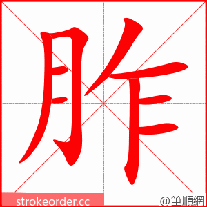 胙 的笔顺动画顺序