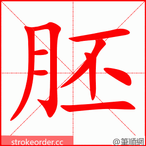 胚 的笔顺动画顺序