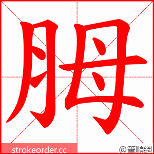 胟 的笔顺动画顺序