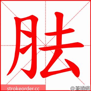 胠 的笔顺动画顺序