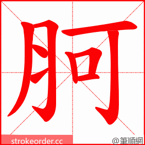 胢 的笔顺动画顺序