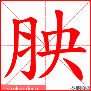 胦 的笔顺动画顺序